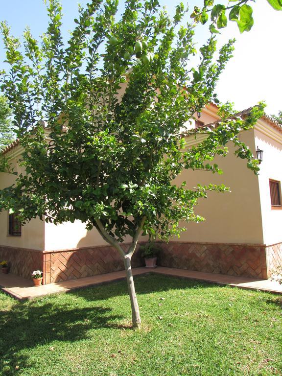 Casa Rural Orégano Carmona  Extérieur photo