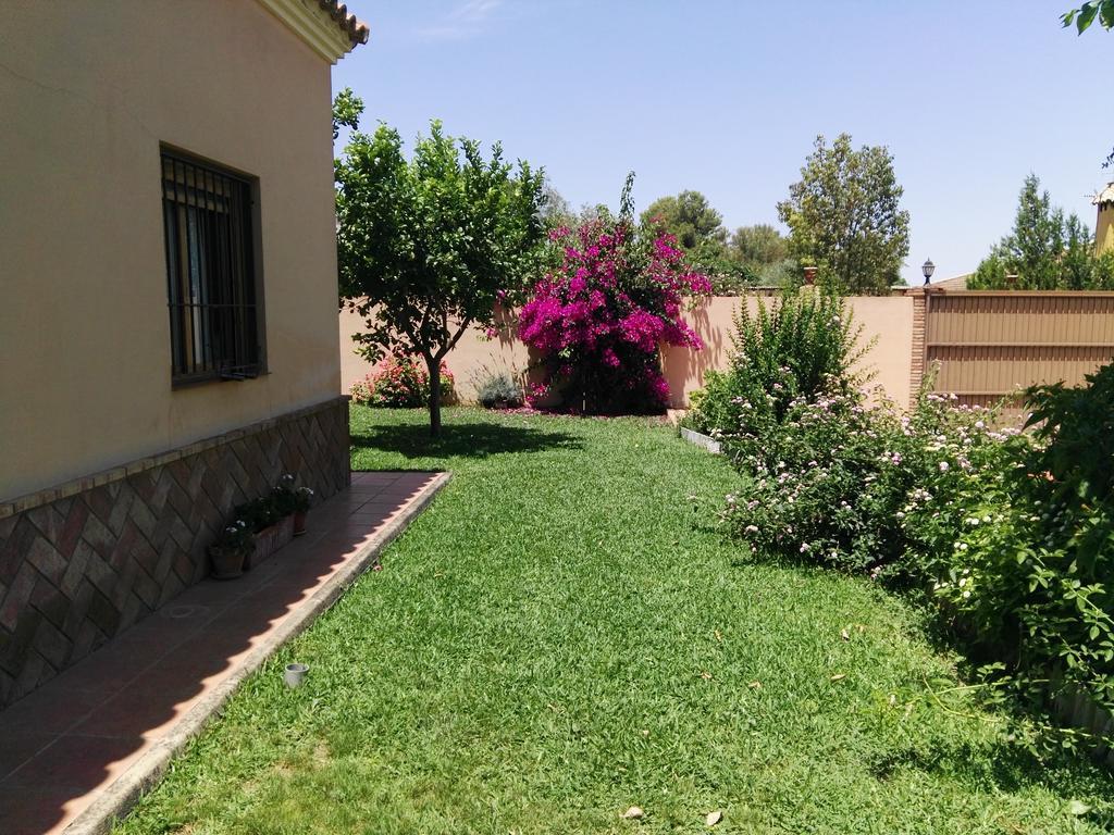 Casa Rural Orégano Carmona  Extérieur photo